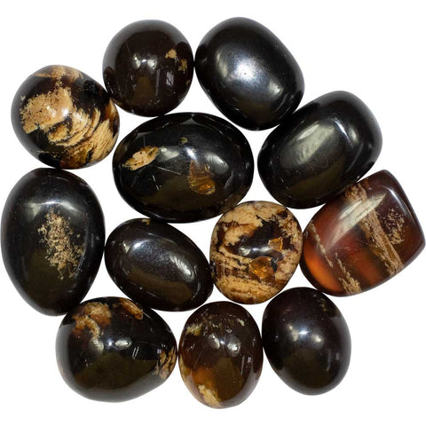 Zebra Amber tumbled