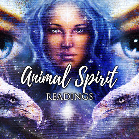 Intuitive Animal Spirit Card Reading 45 minutes - Hannah Luft