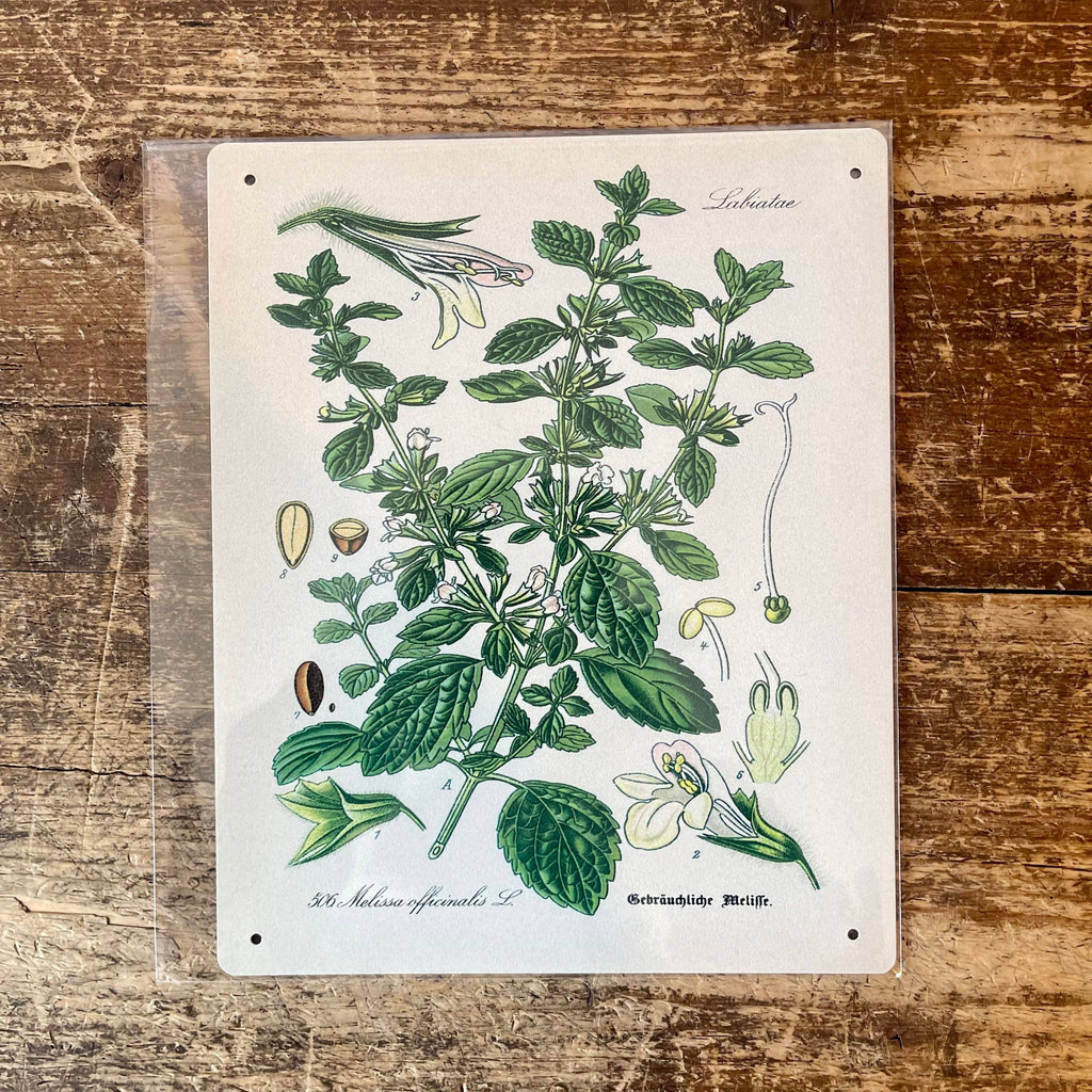 Metal Sign: Herbs - Lemon Balm