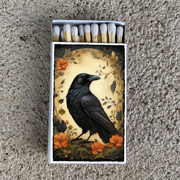 Matchbox Raven