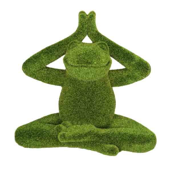 Yoga Frog