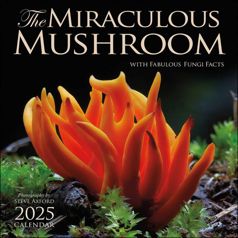 Wall Calendar 2025 The Miraculous Mushroom