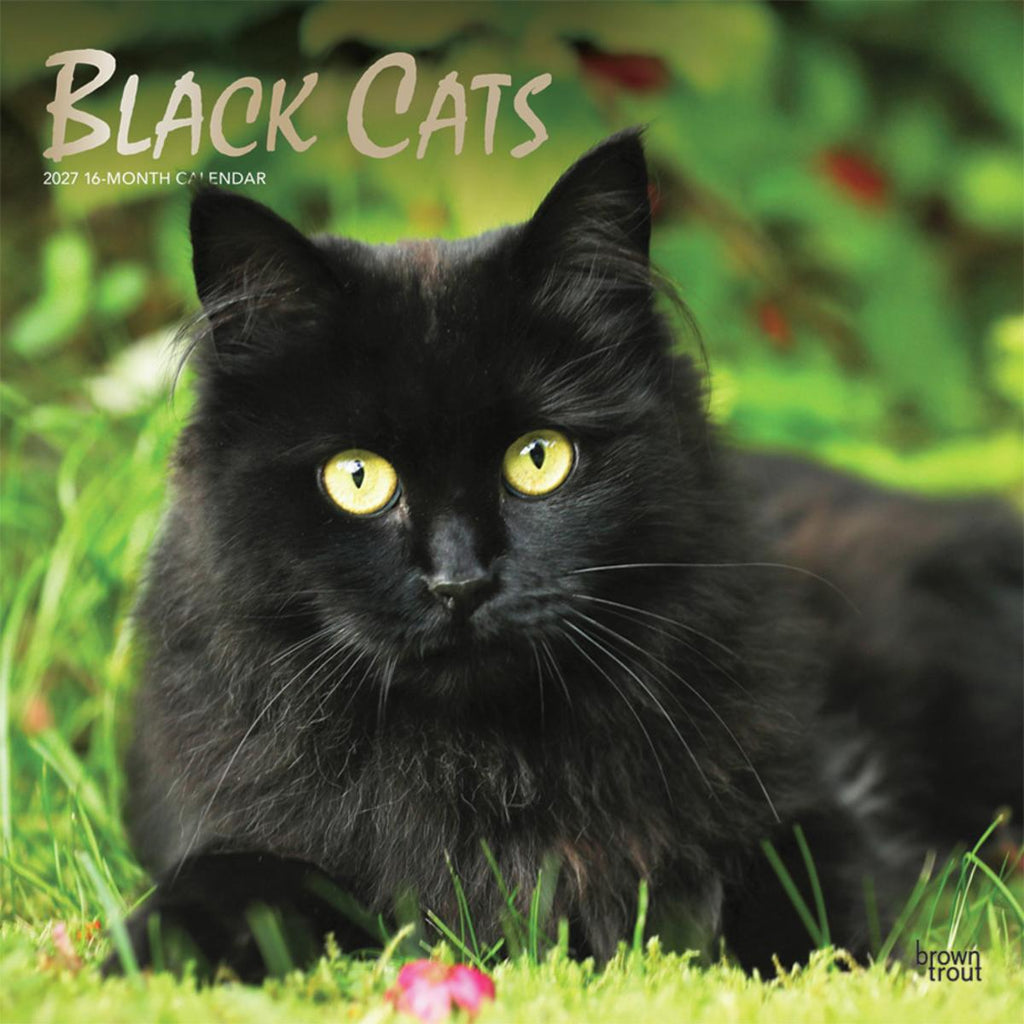 Wall Calendar 2027 Black Cats with Foil