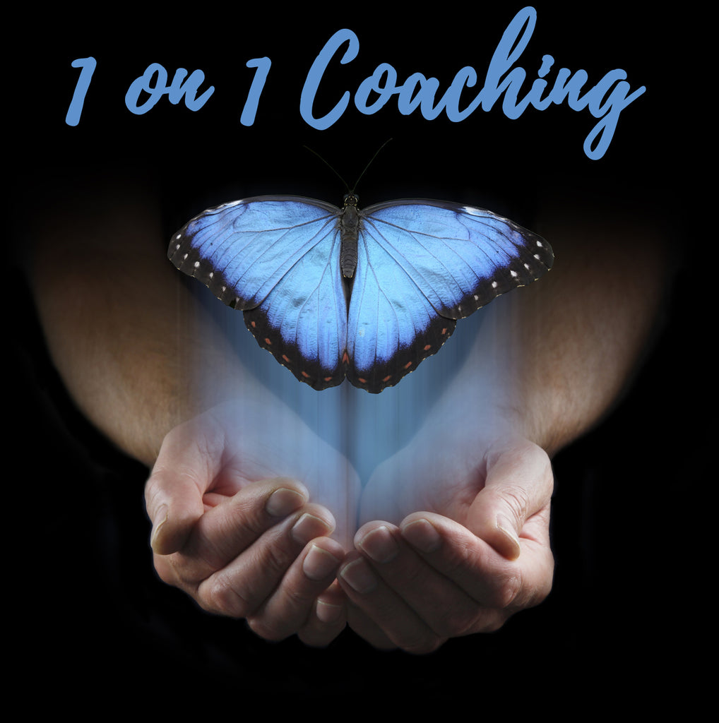 One-on-one ATP coaching session 1 hour Renee Krizsan