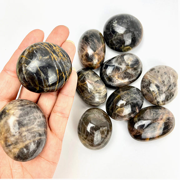 Palmstone Black Moonstone