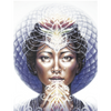 Sacred Rebels Oracle - Alana Fairchild