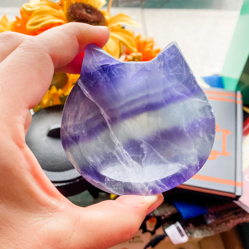 Fluorite Cat Bowl