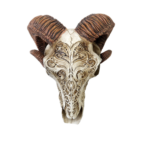 Skull Scrimshaw Ram