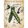 Green Witch Oracle Card - Cheralyn Darcey