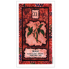 Shaman Wisdom Cards - Leita Richesson