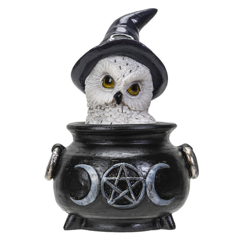 Owl in Cauldron