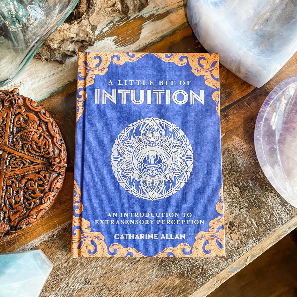 Little Bit of Intuition - Catharine Allan