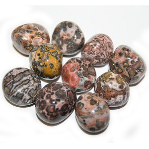 Leopard Skin Jasper tumbled (1 stone)