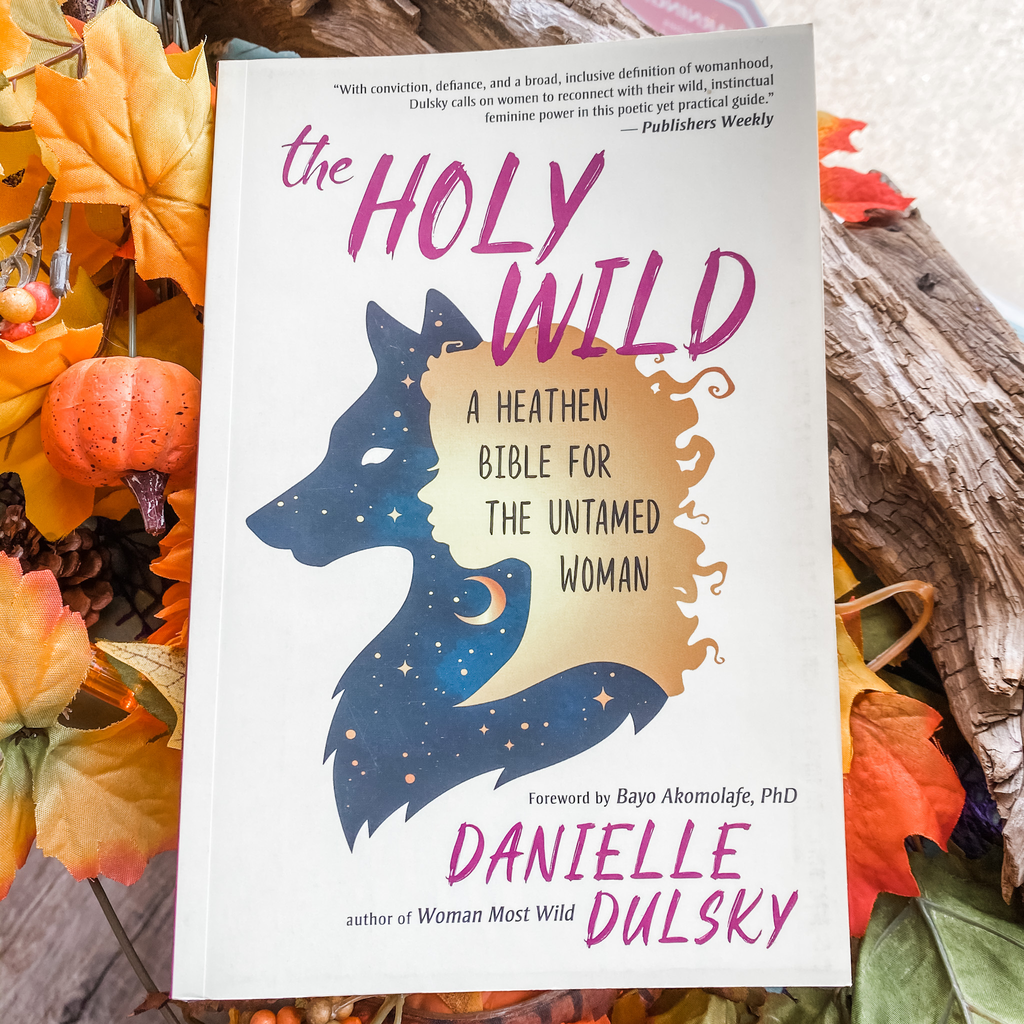 Holy Wild - Danielle Dulksy & Bayo Akomolafe