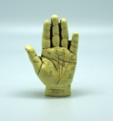 Palmistry Hand Kit