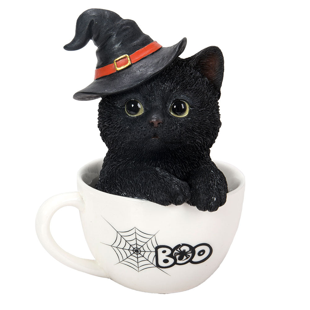 Black Kitten in  Tea Cup