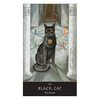 Witches Oracle - Sally Morningstar